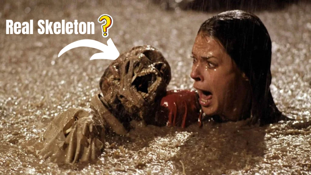 the 1982 movie poltergeist used real skeletons as - tymoff